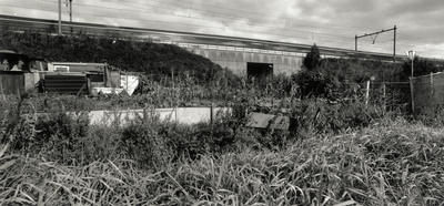 108521 Gezicht op enkele volkstuintjes langs de Isotopenweg te Utrecht, met op de achtergrond de spoorlijn richting ...